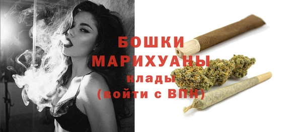 PSILOCYBIN Балабаново