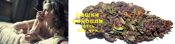 PSILOCYBIN Балабаново
