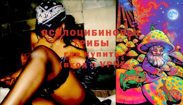 PSILOCYBIN Балабаново