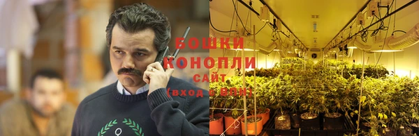 PSILOCYBIN Балабаново