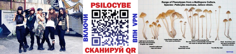 где продают   Нерюнгри  Псилоцибиновые грибы мицелий 
